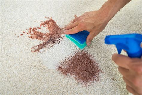 Enchanting stain remover for blue magic carpets